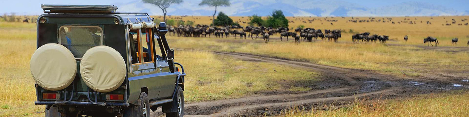 A jeep on safari with a Reserve Your Retirement sign